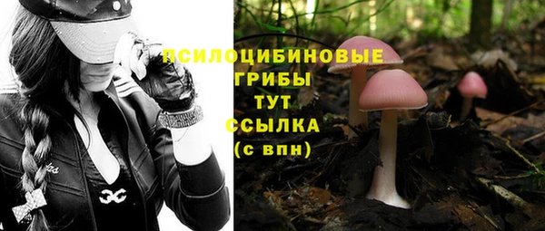 ГАЛЛЮЦИНОГЕННЫЕ ГРИБЫ Арсеньев