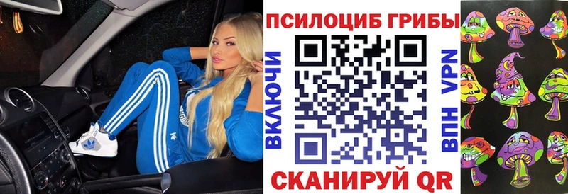 Псилоцибиновые грибы прущие грибы  Купить  Сосновый Бор 