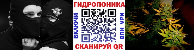 МАРИХУАНА тримм  Купить где  Сосновый Бор 
